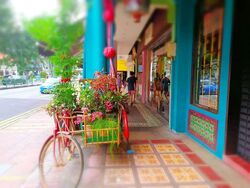 East Coast Road (D15), Retail #504321751